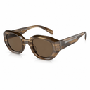 Oversized sunglasses with a translucent brown acetate frame and matching brown lenses, shown on a clean white background.