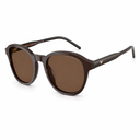 A pair of dark brown acetate sunglasses with matching brown lenses, featuring a small gold eagle logo on the temple arm, set against a plain white background.