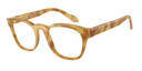 Honey tortoiseshell eyeglasses on a white background