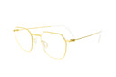 Hexagone Gold-framed eyeglasses on a white background