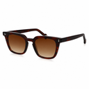 Haly and son square havana sunglasses