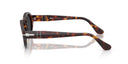 Oval sunglasses with tortoiseshell frame on a white background