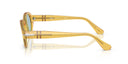 Mutard-framed oval sunglasses on a white background