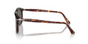 Tortoise sunglasses with reflective surface on a white background