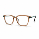 Brown eyeglasses 