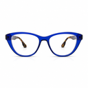 Blue eyeglasses with tortoise temple 