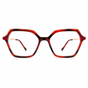 Tortoise and red eyeglasses 