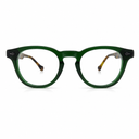 Green eyeglasses with tortoise handles