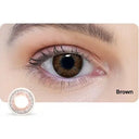 Brown contact lens on a white background with an eye model