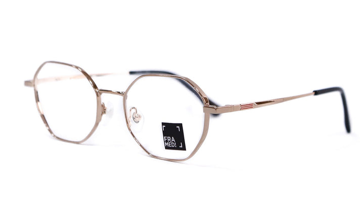 Framed! hexagonal gold glasses