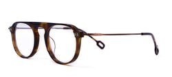 Framed! high bridge turtoise frames