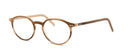Brown eyeglasses on a white background