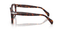 Tortoise eyeglasses on a white background