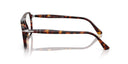 Tortoiseshell havana eyeglasses on a white background