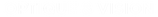 Optique et Vision