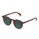 Havana framed round sunglasses with dark green lenses on a white background. 