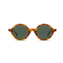 Brown tortoise frame with dark lenses on a white background. 