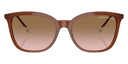 Brown sunglasses on a white background. 