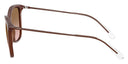 Side angle of brown sunglasses on a white background. 