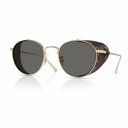 Side angle of oval sunglasses on a white background. 
