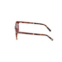 Brown havana sunglasses on a white background.