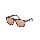 Havana black glasses on a white background