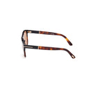Havana-framed glasses on a white background