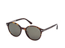 Havana sunglasses on a white background.