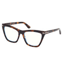 Havana-framed sunglasses on a white background.