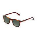 Sunglasses with tortoiseshell frame on a white background