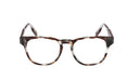 Round havana eyeglasses on a white background. 